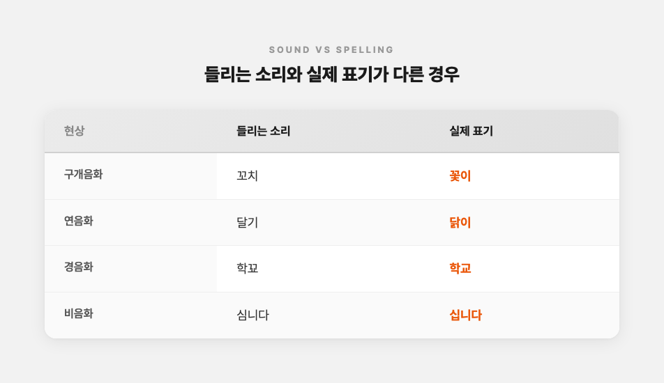 받아쓰기 음운 현상 비교